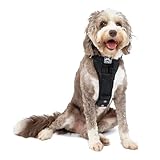 Kurgo TRU-Fit Hundegeschirr, Crash-Test-erprobtes Auto-Sicherheitsgurt,...