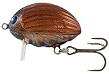 Salmo Lil Bug 2cm 2,8g - Wobbler, Salmo Farben:May Bug