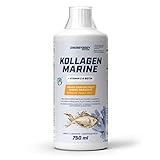 Energybody Marine Kollagen „Mango Maracuja“ 750 ml/Flüssiges Kollagen...