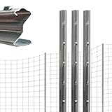TRUTZHOLM 10x Z-Profil Zaunpfosten 230 cm feuerverzinkt Zaunpfähle 1,5 mm...