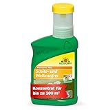 Neudorff Promanal Neu Schild- und Wolllausfrei – Konzentrat bekämpft...