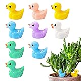 Befeixue Mini-Enten,Mini-Harz-Enten | Miniaturfiguren...