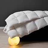 DWR Daunendecke 200x200cm Winter Bettdecke, Bettdecke aus Gänsedaunen und...