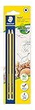 STAEDTLER Bleistift Noris 120, Made from Upcycled Wood, Härtegrad 2H,...