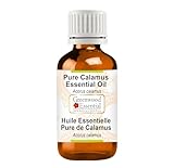 Greenwood Essential Naturreine Kalmus Essentiell Öl (Acorus calamus)...