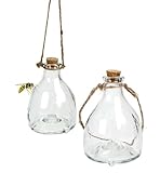 Glas Wespenfalle 2er Set, mit Aufhänger zum Stellen oder Hängen,...