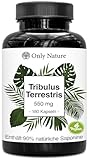 Tribulus Terrestris Kapseln – 180 Stück – Hochdosiert mit 90%...