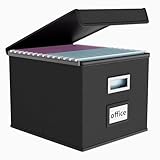 FINEW Stoff Faltbare Aufbewahrungsbox mit Deckel, Hängemappenbox für DIN...