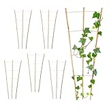 Bambus Rankgitter 75 x 35 cm Natur - 6er Set - Holz Kletterhilfe konisch...