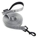 Loutep Reflektierende Trainingsleine für Hunde, 3 m, 5 m, 10 m, 15 m, 20...