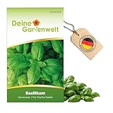 Basilikum Genoveser Samen - Ocimum basilicum - Basilikumsamen -...