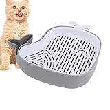 Générique Katzengras - Design Pflanzgefäß, Erdfreie Hydrokultur...