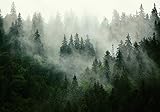 Forwall - Vlies Fototapete Wald Nebel Natur Bäume Landschaft Skandinavisch...