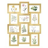 SONGMICS Bilderrahmen-Collage, 12 Fotorahmen für 10 x 15 cm Bilder,...