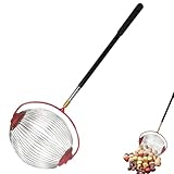 Walnuss Sammler Nusssammler Rollsammler Harvester,Haselnuss der...