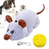 Spielzeugmäuse mit Fernbedienung, Katzenspielzeug, Maus-Spielzeug für...