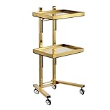 Beauty Cart Rolling Tool Trolley Cart, 2 -Tier -Lagerstaber, Salon -Trolley...