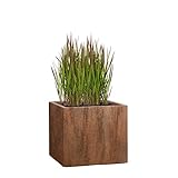 Pflanzwerk® Pflanzkübel Fiberglas Cube Rost Braun 23x23x23cm XXL...