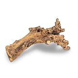 NaDeco Kuwa Deko-Wurzel, in den Größen 25-30 cm und 40-50 cm wählbar |...