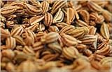 Ganze AJWAIN Bishops Caroms Thymol Lovage Samen, 100 g