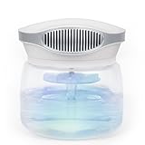 winwinCLEAN MASTER Bowl 4.0 I Luftreiniger I Air Purifier mit Wasserfilter...