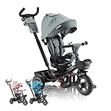 FableKids 5in1 Dreirad Noemi mit Schubstange ab 18 Monate bis 25kg,...