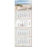 timr 4-Monatskalender 2025 Dünen I Wandkalender 4 Monate I 33 x 90 cm I...