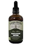 Indigo Herbs Andrographis paniculata Tinktur 100ml