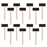 DIYEAH Kleine Holztafeln Pflanzenschilder aus Sperrholz 40 Stück mit Stab...