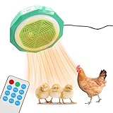 Wärmeplatte Küken,500 Watt Wärmelampe Hühnerstall,Wärmeplatte Küken...