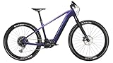 TechniBike HoheAcht SENTO LUMO – E-MTB, Shimano Steps Mittelmotor, 630 Wh...