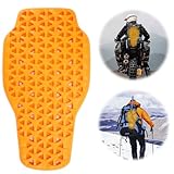 Fosoloni Rückenprotektor Motorrad für Erwachsene Abnehmbare Back...