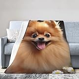 Pomeranian Hunde-Fleecedecke, superweich, warm, extra groß,...