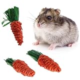 Kauspielzeug für Kaninchen, Zahnbürste, Hamster, Chinchilla, Igel,...