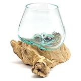 Wurzel mit Glasvase Rund Ø ca.11-12 cm Glas Kugelvase Vase auf Holz...