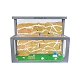 AntHouse - Natürliche Ameisenfarm aus Sand 3D | Modell L (Sandwich +...