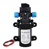 Wasserpumpe, 12V Selbstansaugend 60W 5L/Min Druckpumpe Wasser mit...