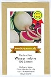 Radieschen - Radies - Winterradieschen - Wassermelone (100 Samen)