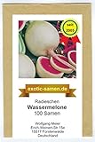 Radieschen - Radies - Winterradieschen - Wassermelone (100 Samen)