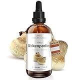Birkenporling Tinktur 100 ml – Fomitopsis betulina – Alkoholischer...