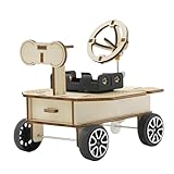 Mars Rover Holzpuzzle – 3D-Puzzle für Erwachsene und Erwachsene |...