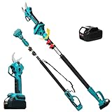 2-in-1 Akku Astschere mit Teleskopstange bis 2.5m, Elektrische...