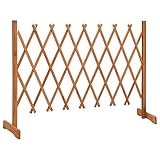 Kavolet Garten Rankzaun Orange 150x80 cm Massivholz Tanne Ausziehbar...