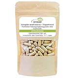 Astragalus membranaceus, Hochdosiert (Tragantwurzel)| 3 Packungen = 180 x...