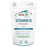 DOG FIT by PreThis® Vitamin B Komplex für Hunde I Nervensystem,...