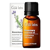 Gya Labs Reines Rosmarinöl für Haarwachstum und trockene Kopfhaut (10 ml)...
