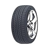 Goodride SW608 (225/45 R17 94V XL)