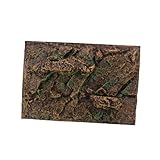 VICASKY Aquarium Hintergrunddekor Board Simulation Terrarium Reptilienbox...