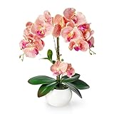 PASCH® Orchideen künstlich in Hochglanz-Keramiktopf (40cm) | Kunstblumen...