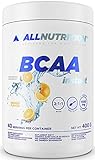 ALLNUTRITION BCAA Max Support Powder mit hochdosiertem Aminosäurekomplex -...